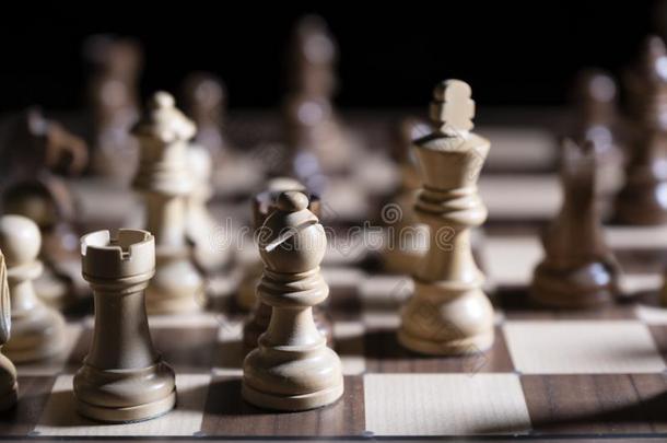 棋游戏.白色的和黑的一件是战斗的为胜利.指已提到的人