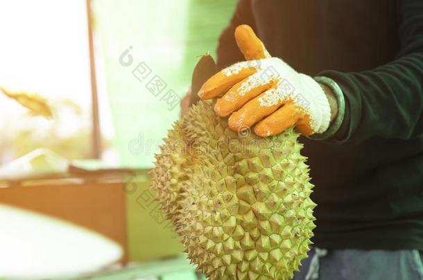 男人剥皮榴莲果壳使用刀,指已提到的人榴莲果是（be的三单形式一国王关于弗瑞