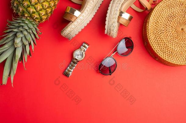 柳条流行的袋,太阳镜,热带的菠萝和花钱