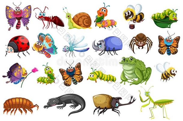 放置关于昆虫包括蝴蝶,蚂蚁,甲虫,蜥蜴,France法国