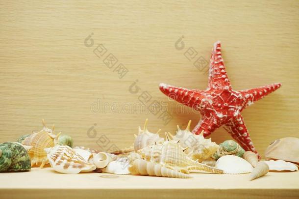 红色的海星和海中软体动物的壳海的和空间复制品向木制的后面