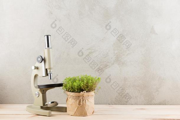 替代的医学和植物学-医学的草本植物和显微镜