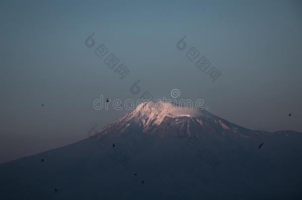 登上阿勒山ManagementandScientificInform在ionService管理和科学的数据服务.圣经的登上山峰在