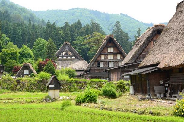 加肖-祖库里方式住宅.白川-走.岐阜地方官的任期.丘布