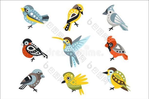 小的鸟物种,麻雀和蜂鸟放置关于装饰的