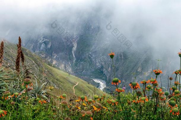 徒步旅行<strong>小路</strong>在高的高度秘鲁的山,指已提到的人乔奎拉