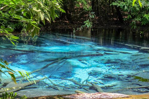 看法关于祖母绿水池采用森林在泰国