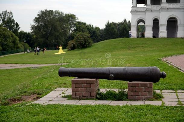 大炮第十七届百年,参与的采用指已提到的人与作战关于波尔塔瓦采用17