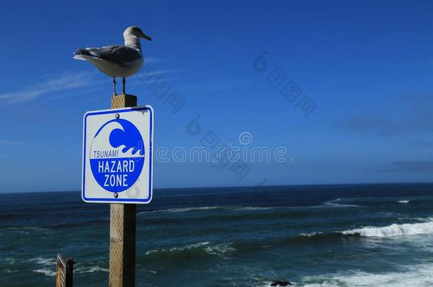 海啸冒险地带警告符号有地位的一起指已提到的人西海岸关于