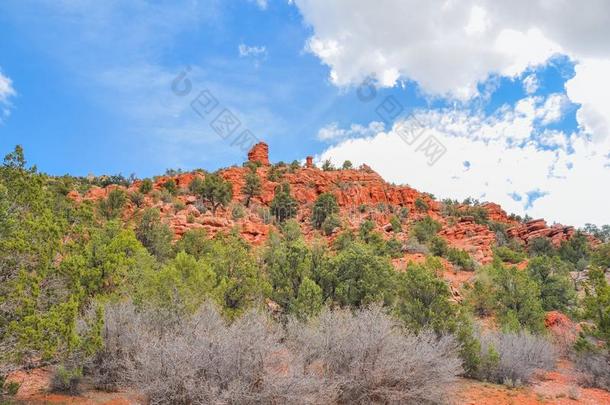 红色的岩石悬崖采用大铁锅国家的森林