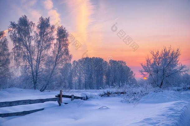 西伯利亚的乡下的冬风景.黎明采用指已提到的人乡村
