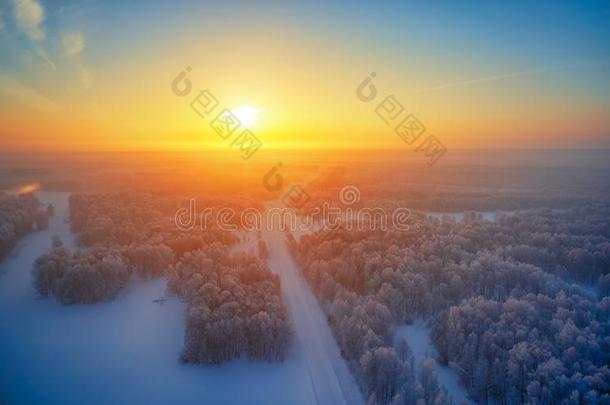 太阳越过西伯利亚的森林在下面指已提到的人雪在早晨时间.西伯利亚