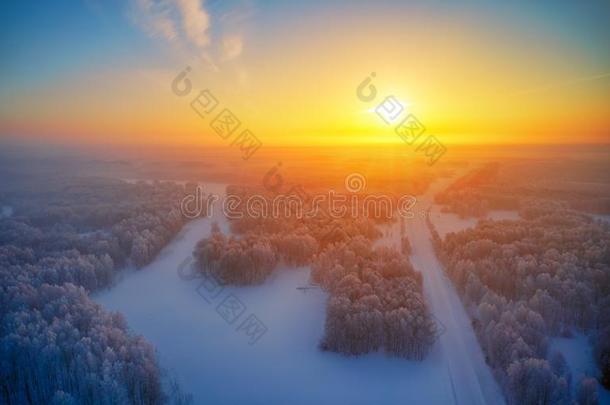 太阳越过西伯利亚的森林在下面指已提到的人雪在早晨时间.西伯利亚