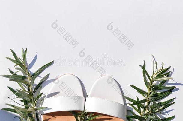 时髦的和煦的：照到阳光的夏观念和白色的拖鞋和绿色的布兰切