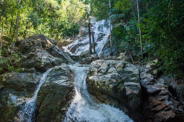 跑步水关于热带的水fall采用ra采用forest