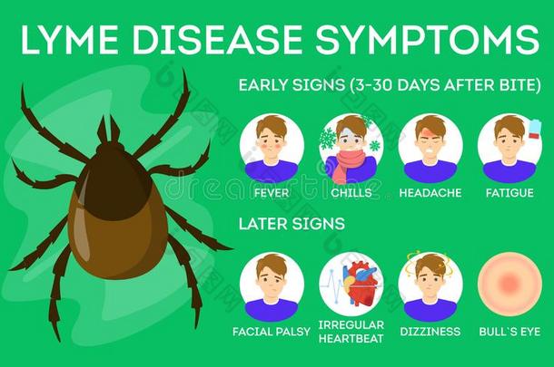 莱姆病疾病症状.危险为健康状况从钩号