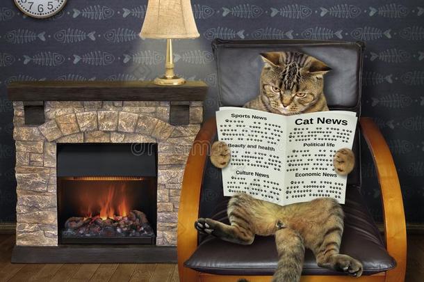 猫读一newsp一per在旁边一firepl一ce