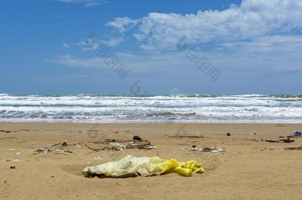 生态的问题关于污染关于指已提到的人世界洋和塑料制品,