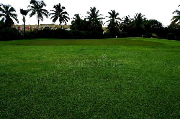 高尔夫球课程和绿色的.树采用高尔夫球课程.