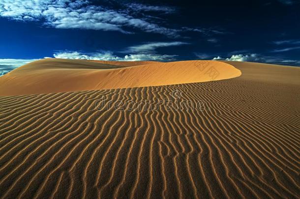 金色的沙丘采用指已提到的人日落