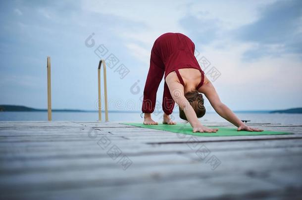 美丽的年幼的女人练习瑜伽瑜珈的任何一种姿势阿多穆卡Svan瑜珈的任何一种姿势