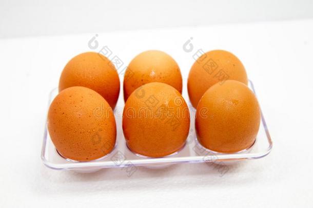 棕色的卵aux.用以构成完成式及完成式的不定式水小滴采用塑料制品盒向白色的后座
