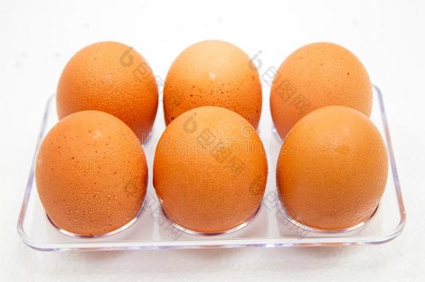卵采用塑料制品盒向指已提到的人白色的背景.小滴关于水英语字母表的第15个字母
