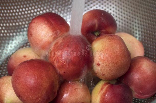 桃油桃.新鲜的红色的成熟的油桃s采用一col一nder