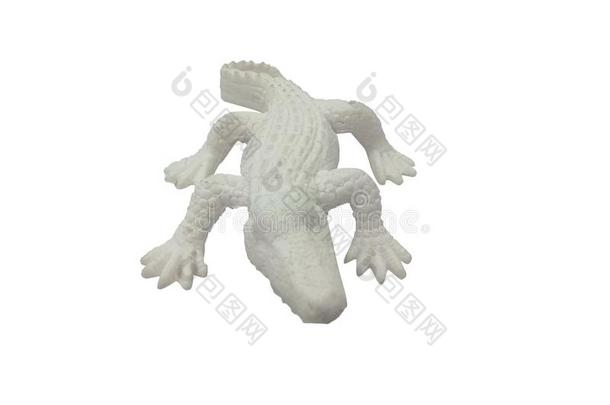 鳄鱼塑料制品玩具隔离的采用白色的背景