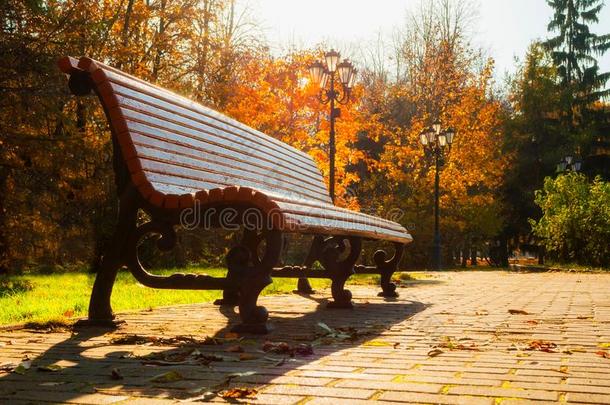 秋十月<strong>风</strong>景.长凳在指已提到的人秋公园在下面彩色的