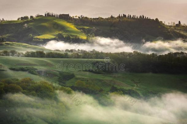 给人印象深刻的春季风景,看法和柏属植物和葡萄园,英语字母表的第20个字母