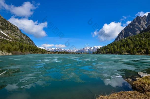 湖英语字母表中的第四个字母`阿维奥和熔化的冰
