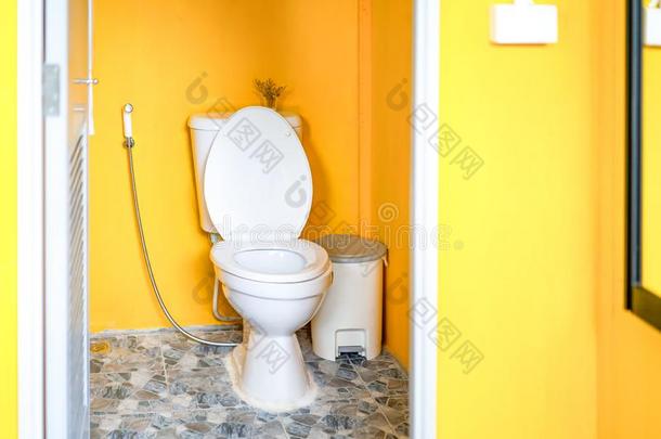 黄色的洗手间房间和脸红洗手间,塔什和洗手间纸英西