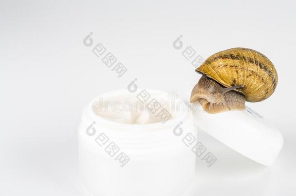 美容品使和蜗牛黏质物.很健康的和有机的生产