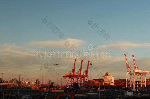 全景的看关于身材高的港口船舶鹤起立身材高的拉迪