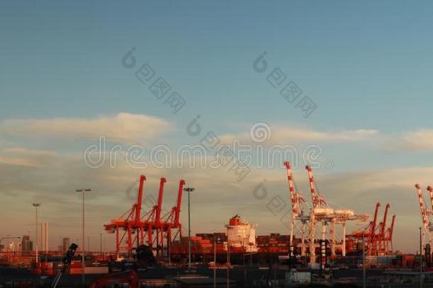 全景的看关于身材高的港口船舶鹤起立身材高的拉迪
