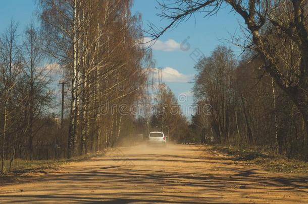 汽车活动的向指已提到的人在国外道路通过指已提到的人森林