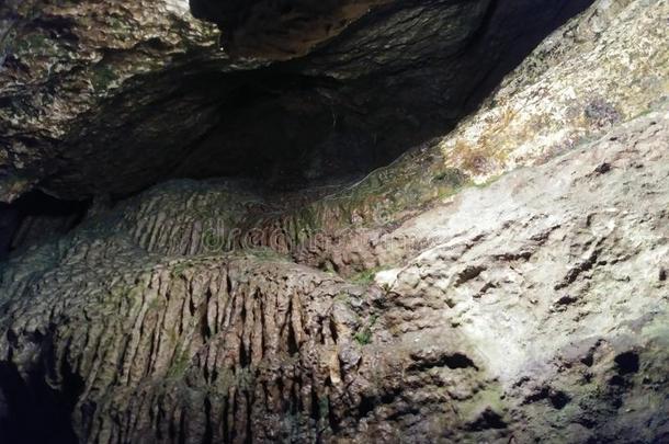 岩石形<strong>成林</strong>维尔大山洞NewCaledonia新喀里多尼亚