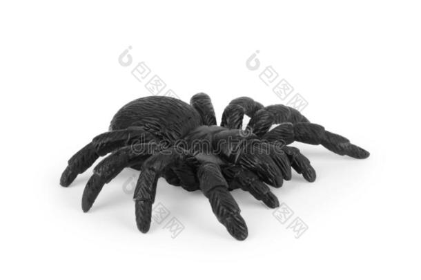 黑的蜘蛛玩具隔离的向白色的.喜剧的恐怖为万圣节前夕