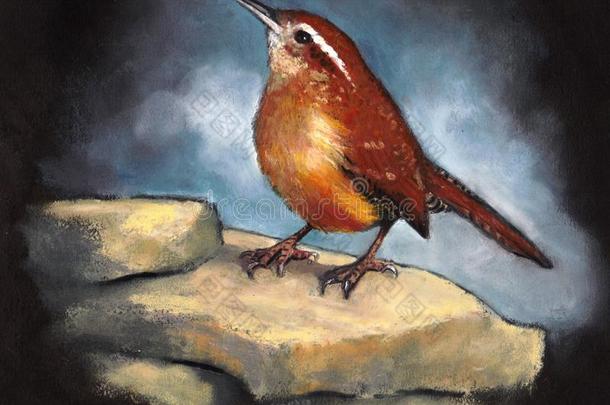 卡罗莱纳州鹪鹩,鸟栖息向岩石,油彩色粉笔艺术
