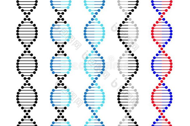 didnotattend没有参加偶像染色体遗传学矢量放置didnotattend没有参加基因分子放置关于