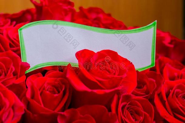 纸卡片和玫瑰花束-假日背景.红色的玫瑰和