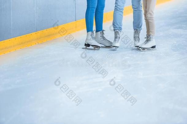 部分的看法关于家庭采用溜冰鞋stand采用g