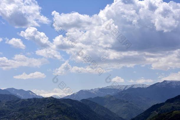 山谷山森林植物和村民生活