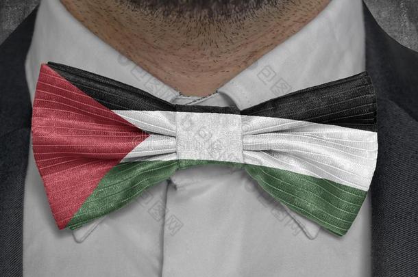 国家的旗关于<strong>巴勒斯坦</strong>向领结商业男人一套外衣