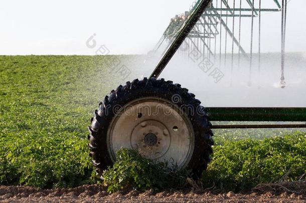 中心枢轴农作物灌溉体系为农场管理
