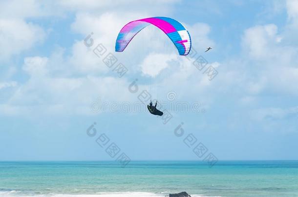 <strong>滑翔伞</strong>运动.飞行的在上面指已提到的人洋.穆里怀海滩,新的西兰岛