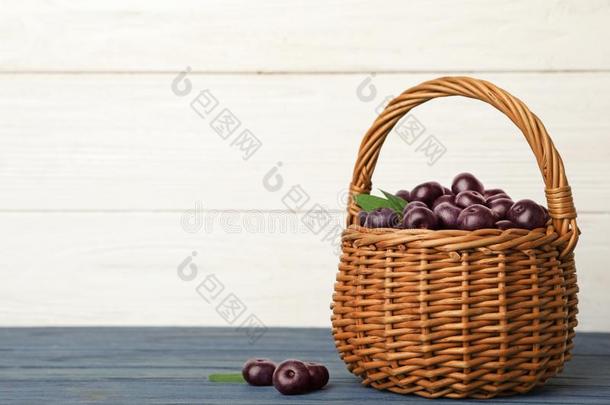 柳条篮关于新鲜的阿萨伊浆果向蓝色木制的表反对