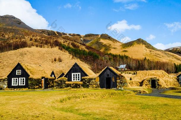 老的冰岛的村民关于木制的草皮住宅,<strong>专题</strong>讨论会和一她