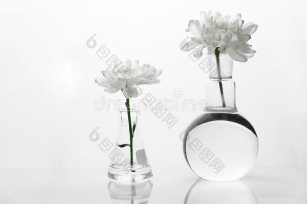 白色的花采用圆形的和厄伦美厄科学瓶采用白色的另一<strong>方面</strong>